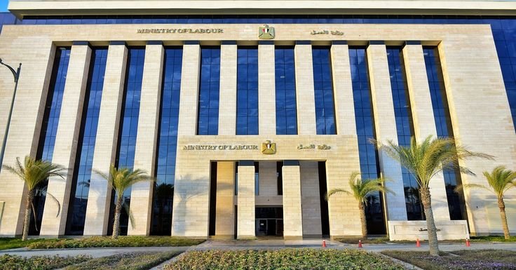 وظائف وزارة العمل 2026.. توفير 1310 فرصة عمل للشباب بالقاهرة