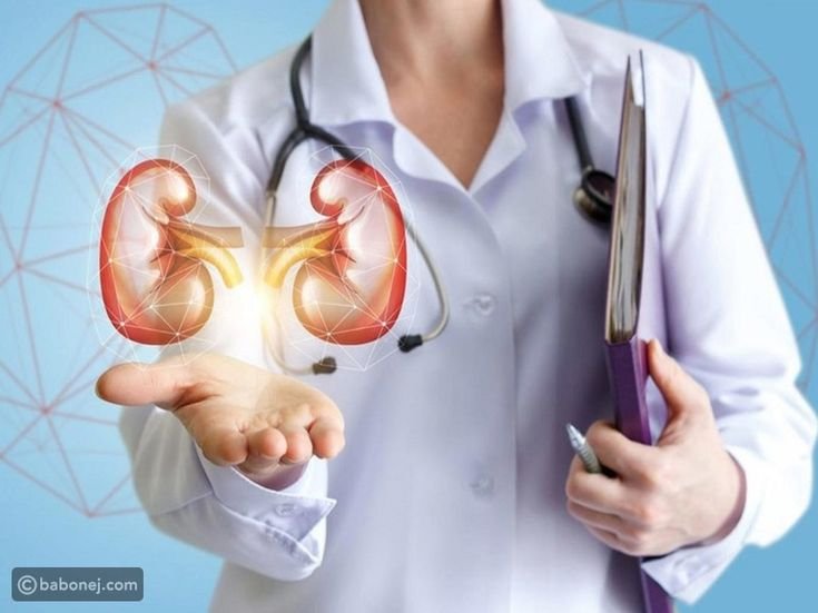 حصوات الكلى.. علامات مبكرة وطرق الوقاية والعلاج