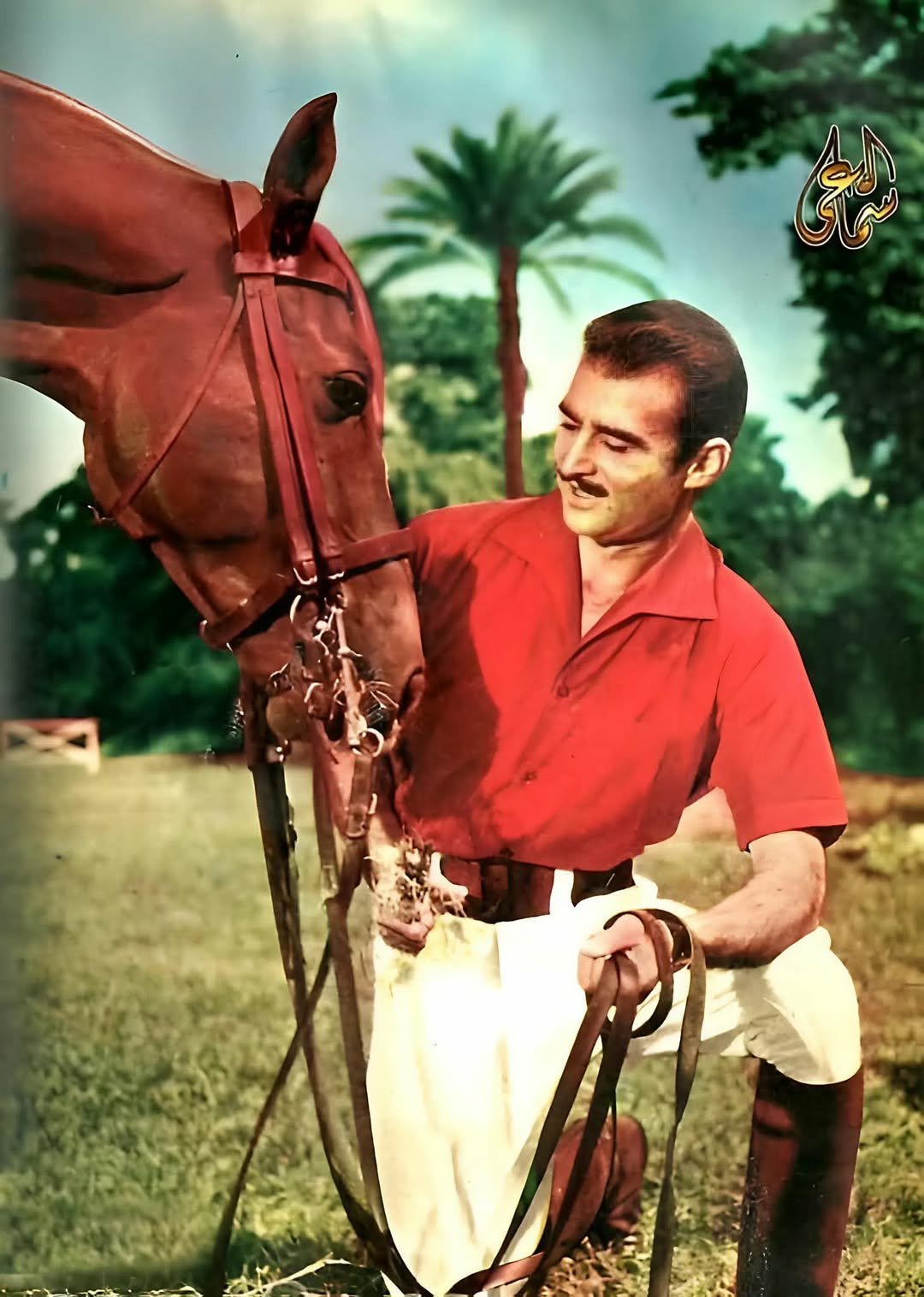 في ذكرى رحيله.. محمد شوقي يكشف أسرارًا إنسانية عن أحمد مظهر: أحرج سعاد حسني بأخلاقه النبيلة