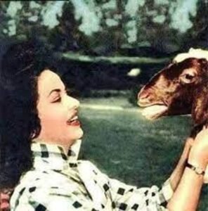 نجوم الزمن الجميل يحتفلون بعيد الأضحى مع الأضحية.. طقوس بسيطة صنعت ذكريات لا تُنسى