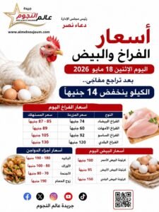 أسعار الفراخ والبيض اليوم الإثنين 18 مايو 2026 بعد تراجع مفاجئ.. الكيلو ينخفض 14 جنيهًا