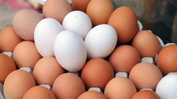 بعد تراجع الأسعار.. أفضل طريقة لتخزين البيض فترة طويلة والحفاظ على جودته