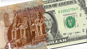  استقرار سعر الدولار أمام الجنيه المصري اليوم السبت 13 يونيو 2026 وسط دعم قوي للاحتياطي النقدي وتحسن التدفقات الدولارية