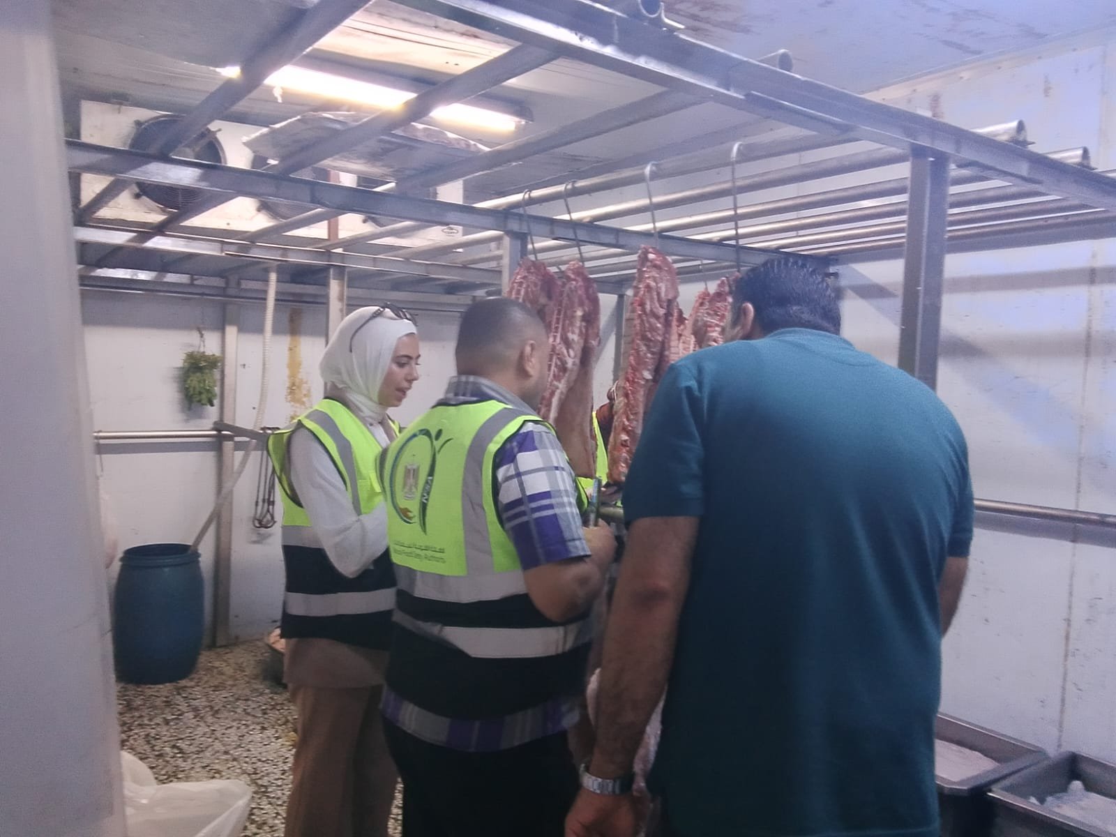 ضبط أكثر من 29 طنًا من الأغذية الفاسدة بالإسكندرية.. حملات رقابية مكثفة لحماية صحة المواطنين