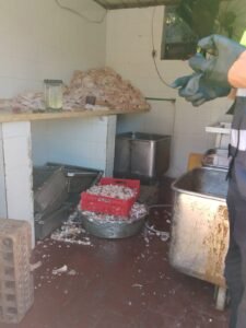 ضبط أكثر من 29 طنًا من الأغذية الفاسدة بالإسكندرية.. حملات رقابية مكثفة لحماية صحة المواطنين