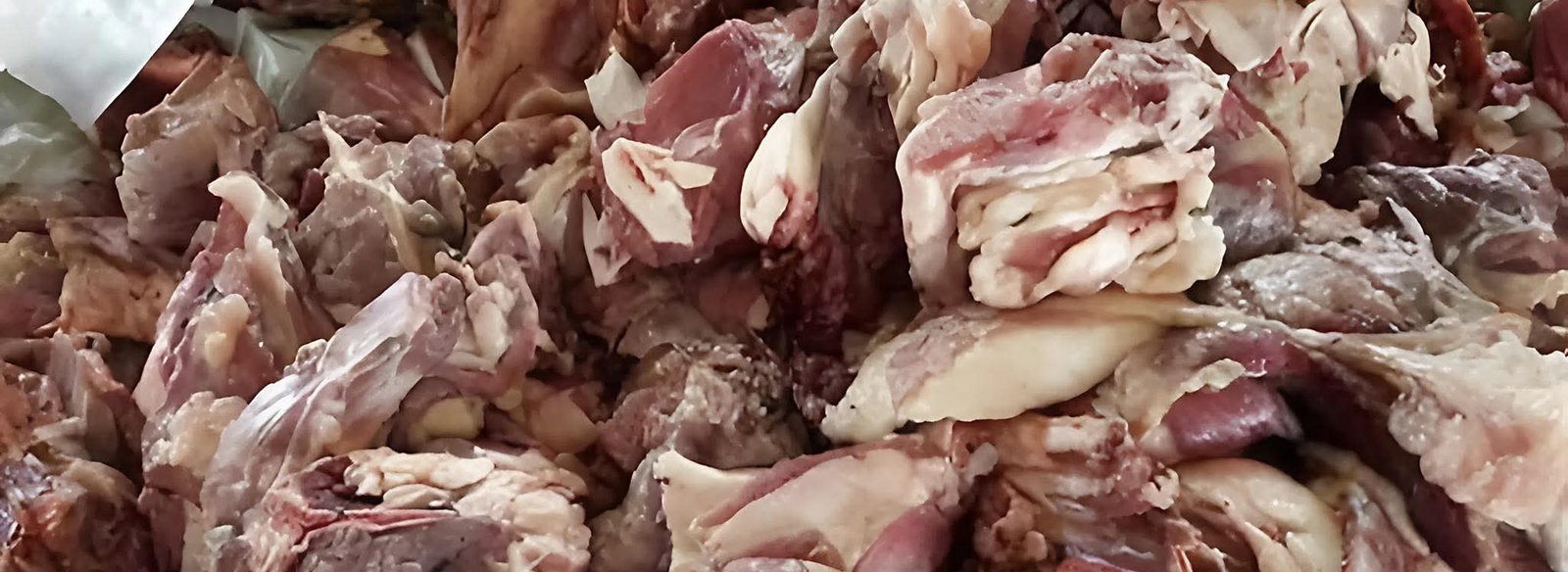 حقيقة ضبط لحوم كلاب بالجيزة.. الطب البيطري يحسم الجدل ويكشف تفاصيل حملات التفتيش على الأسواق