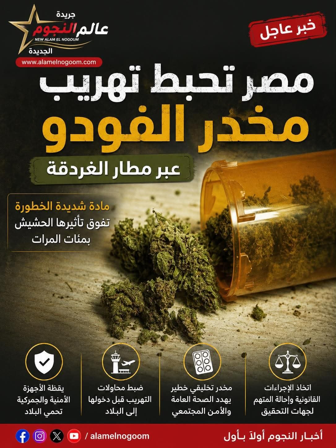 مصر تحبط تهريب مخدر الفودو عبر مطار الغردقة.. ضبط شحنة شديدة الخطورة تفوق تأثير الحشيش بمئات المرات