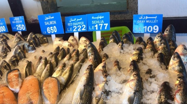 تراجع أسعار الأسماك والمأكولات البحرية في الأسواق المصرية.. انخفاضات تتجاوز 150 جنيهًا لبعض الأصناف
