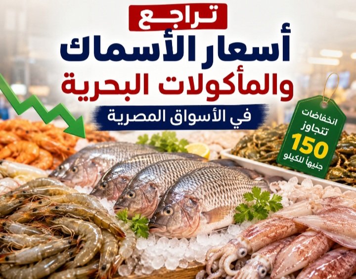 تراجع أسعار الأسماك والمأكولات البحرية في الأسواق المصرية.. انخفاضات تتجاوز 150 جنيهًا لبعض الأصناف 4 أسعار الأسماك