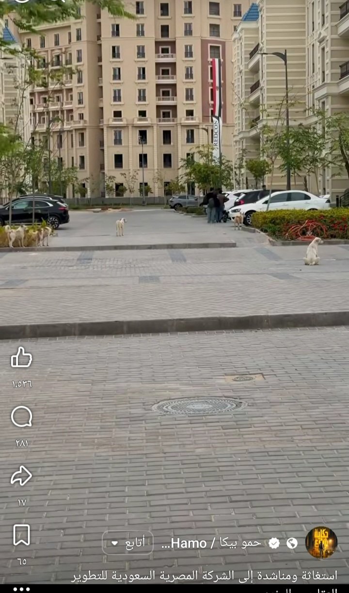 حمو بيكا 