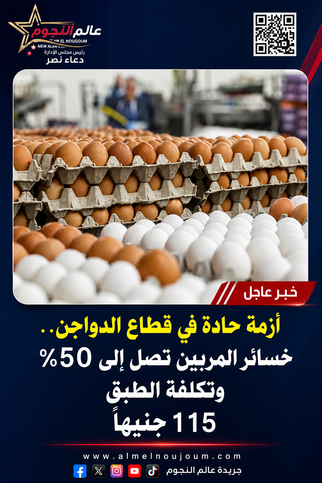 أزمة حادة في قطاع الدواجن.. خسائر المربين تصل إلى 50% بسبب انهيار أسعار بيض المائدة رغم ارتفاع تكلفة الإنتاج