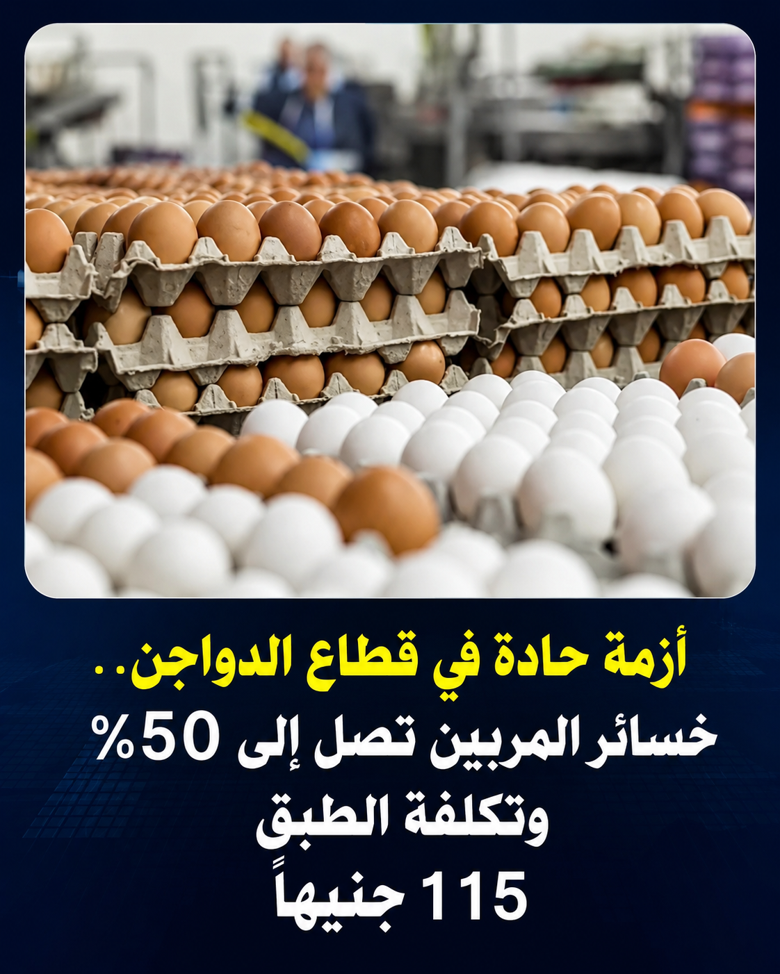 تشهد صناعة الدواجن في مصر تحديات متزايدة خلال الفترة الحالية، بعدما حذر مسؤولون بقطاع الإنتاج الداجني من تفاقم الخسائر التي يتعرض لها مربو بيض المائدة، نتيجة استمرار بيع المنتج بأسعار أقل بكثير من تكلفة الإنتاج الفعلية، وهو ما يهدد استقرار القطاع وقدرة المنتجين على الاستمرار في السوق خلال المرحلة المقبلة.وأكد حمادة إبراهيم، الأمين العام لشعبة بيض المائدة باتحاد منتجي الدواجن، أن أزمة حادة في قطاع الدواجن باتت تلقي بظلالها على آلاف المربين، مشيراً إلى أن تكلفة إنتاج طبق البيض وصلت إلى نحو 115 جنيهاً، في حين يتم بيعه من المزرعة بسعر يقارب 65 جنيهاً فقط، وهو ما يعني تكبد المنتجين خسائر كبيرة تقدر بنحو 50% من رأس المال. تكلفة الإنتاج تتجاوز سعر البيع بشكل كبير وأوضح إبراهيم أن الفارق الكبير بين تكلفة الإنتاج وسعر البيع يمثل تحدياً غير مسبوق أمام العاملين في القطاع، خاصة في ظل استمرار ارتفاع أسعار مستلزمات الإنتاج المرتبطة بصناعة الدواجن، وعلى رأسها الأعلاف ومكوناتها الأساسية من الذرة والصويا المستوردة من الخارج. وأضاف أن المنتجين يتحملون أعباء مالية متزايدة نتيجة ارتفاع تكاليف التشغيل والنقل والطاقة والخدمات البيطرية، بينما تشهد أسعار البيع تراجعاً حاداً بسبب وفرة المعروض داخل الأسواق المحلية، الأمر الذي أدى إلى انخفاض العائد الاقتصادي بشكل كبير. أزمة حادة في قطاع الدواجن بسبب زيادة المعروض وأشار الأمين العام لشعبة بيض المائدة إلى أن قطاع البيض نجح خلال السنوات الأخيرة في تحقيق معدلات إنتاج مرتفعة ساهمت في الوصول إلى الاكتفاء الذاتي الكامل، بل وتجاوزه بنسبة تصل إلى 130%، وهو ما يعكس حجم الجهود والاستثمارات التي ضختها الدولة والقطاع الخاص لتطوير المنظومة الإنتاجية. ورغم هذا النجاح، فإن زيادة الإنتاج دون وجود قنوات كافية لتصريف الفائض أدت إلى تراجع الأسعار بصورة ملحوظة، حيث أصبح حجم المعروض أكبر من حجم الطلب المحلي، ما تسبب في خسائر متواصلة للمربين وأصحاب المزارع. وأوضح أن استمرار هذه المعادلة يضع المنتجين أمام أوضاع مالية صعبة قد تدفع بعضهم إلى تقليص حجم الإنتاج أو الخروج من السوق بشكل نهائي إذا استمرت الخسائر لفترات طويلة. مطالب بفتح أسواق تصديرية جديدة وشدد إبراهيم على ضرورة التحرك السريع لفتح أسواق خارجية جديدة أمام صادرات بيض المائدة المصري، باعتبار أن التصدير يمثل أحد أهم الحلول القادرة على استيعاب الفائض الإنتاجي وتحقيق عائد اقتصادي مناسب للمربين. وأكد أن مصر تمتلك القدرة على المنافسة في العديد من الأسواق الإقليمية والدولية بفضل تطور منظومة الإنتاج وتحسن معايير الجودة، الأمر الذي يمكن أن يسهم في زيادة الصادرات وتحقيق قيمة مضافة للاقتصاد الوطني. وأضاف أن تصدير الفائض من الإنتاج لا يقتصر تأثيره على دعم المنتجين فقط، بل يساهم أيضاً في توفير العملة الأجنبية وتعزيز موارد الدولة، خاصة أن جزءاً كبيراً من مستلزمات الإنتاج يتم استيراده من الخارج بالدولار. أهمية الحفاظ على استقرار المنظومة الإنتاجية ويرى خبراء القطاع أن أزمة حادة في قطاع الدواجن تتطلب تدخلاً سريعاً من الجهات المعنية لوضع آليات تضمن تحقيق التوازن بين حجم الإنتاج والاستهلاك المحلي، بما يحافظ على مصالح جميع الأطراف داخل المنظومة. ويؤكد المتخصصون أن استمرار الخسائر الحالية قد يؤدي إلى تراجع الاستثمارات في قطاع بيض المائدة، وهو ما قد ينعكس مستقبلاً على حجم المعروض والأسعار في الأسواق، لذلك فإن التعامل مع الأزمة الحالية يمثل ضرورة لضمان استدامة الإنتاج. كما طالبوا بدراسة مجموعة من الحلول التي تشمل دعم برامج التصدير، وتوسيع قاعدة الأسواق المستوردة للبيض المصري، وتقديم حوافز تشجع المنتجين على الاستمرار في النشاط الإنتاجي خلال الفترات الصعبة. أزمة حادة في قطاع الدواجن تهدد مستقبل المنتجين وأوضح إبراهيم أن المربين يواجهون حالياً ضغوطاً كبيرة نتيجة استمرار بيع المنتج بأقل من تكلفته الحقيقية، مؤكداً أن هذه الظروف قد تؤدي إلى خروج عدد من المنتجين من السوق إذا لم يتم اتخاذ إجراءات عاجلة لدعم القطاع. وأضاف أن الحفاظ على المنتج المحلي يمثل أولوية مهمة، نظراً للدور الحيوي الذي يلعبه قطاع الدواجن في تحقيق الأمن الغذائي وتوفير فرص العمل المباشرة وغير المباشرة لآلاف العاملين. وأشار إلى أن معالجة الأزمة تتطلب رؤية متكاملة تجمع بين دعم الإنتاج وتنشيط التصدير وتحقيق التوازن بين العرض والطلب، بما يضمن استقرار السوق واستمرار توفير بيض المائدة للمستهلكين بأسعار عادلة. مستقبل القطاع بين التحديات والفرص ورغم التحديات الحالية، يؤكد العاملون في القطاع أن صناعة بيض المائدة تمتلك فرصاً كبيرة للنمو خلال السنوات المقبلة إذا تم استغلال الفائض الإنتاجي بشكل صحيح وفتح أسواق جديدة أمام الصادرات المصرية. ويأمل المنتجون أن تسهم القرارات المرتقبة في تخفيف الأعباء المالية عن المزارع ودعم قدرتها على الاستمرار، بما يحافظ على مكتسبات القطاع ويحول الفائض الإنتاجي إلى فرصة اقتصادية حقيقية. وفي ظل استمرار أزمة حادة في قطاع الدواجن، تبقى الحاجة ملحة إلى حلول عملية وسريعة تضمن حماية المنتجين من الخسائر، وتعزز قدرة القطاع على مواصلة دوره في دعم الأمن الغذائي والاقتصاد الوطني.