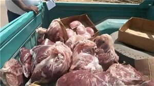 حقيقة ضبط لحوم كلاب بالجيزة.. الطب البيطري يحسم الجدل ويكشف تفاصيل حملات التفتيش على الأسواق