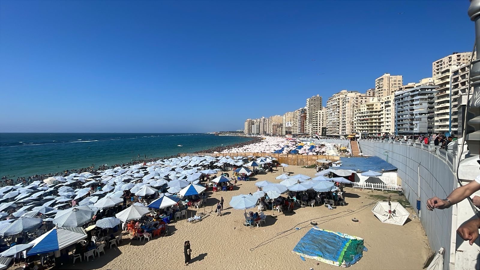 محافظ الإسكندرية: شواطئ الإسكندرية تسجل إشغالًا كاملًا بالقطاع الشرقي و90% بالقطاع الغربي