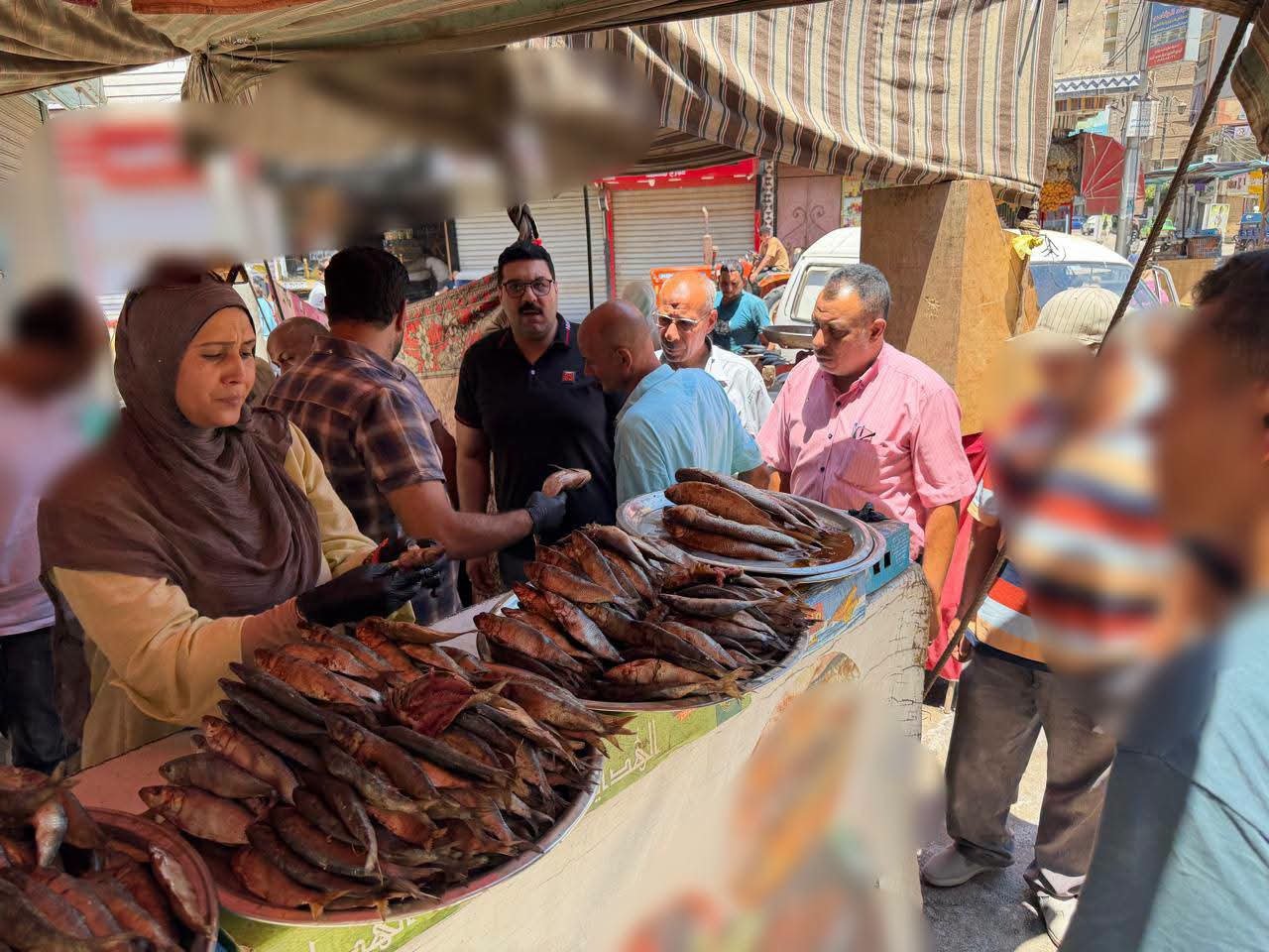 محافظة المنوفية : ضبط طن أسماك غير صالحة للاستهلاك الآدمي خلال حملة مكبرة بمنوف 3 محافظة المنوفية