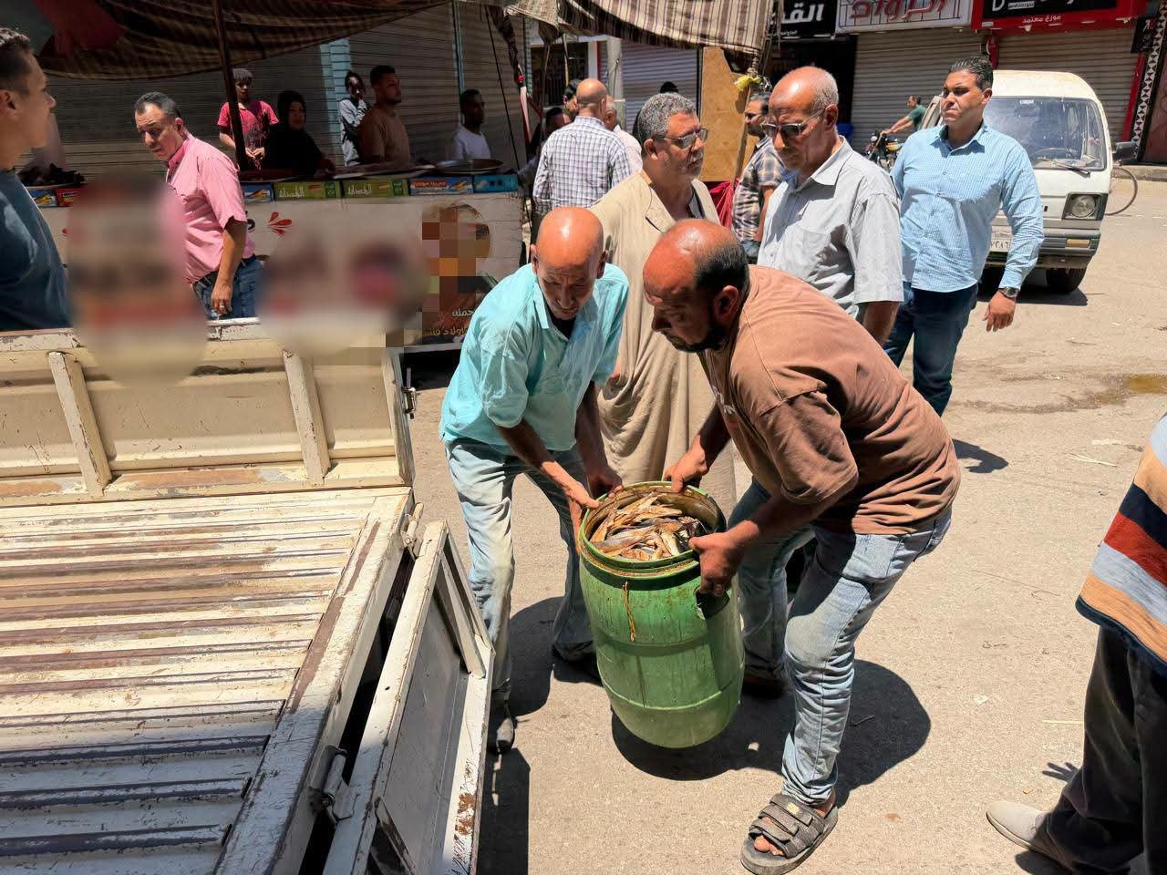 محافظة المنوفية : ضبط طن أسماك غير صالحة للاستهلاك الآدمي خلال حملة مكبرة بمنوف