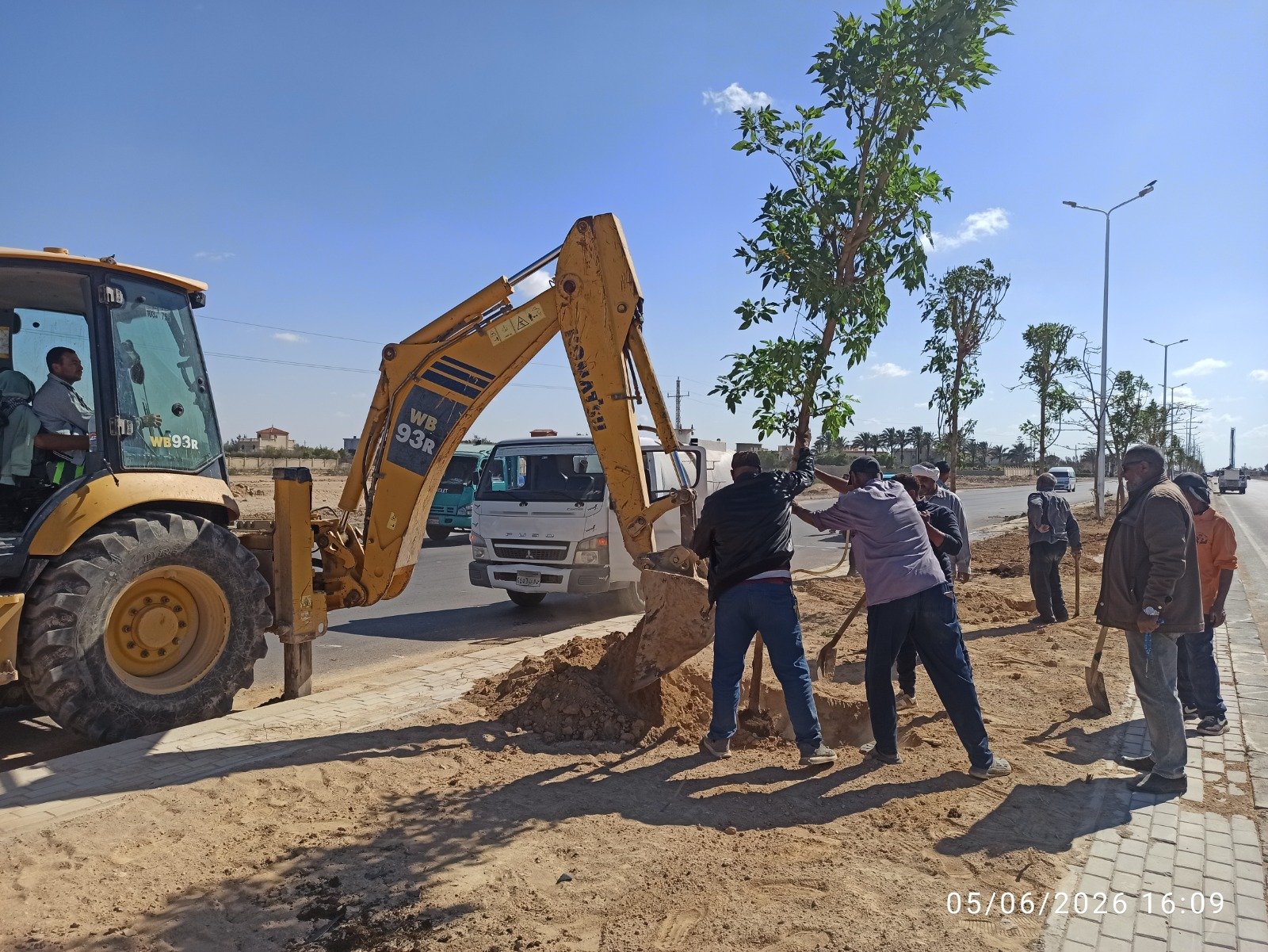 المبادرة الرئاسية لزراعة 100 مليون شجرة تتوسع في الإسكندرية.. تشجير الطرق والمدارس والمحاور الرئيسية ضمن المرحلة الرابعة