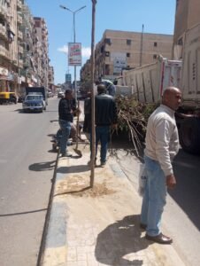 المبادرة الرئاسية لزراعة 100 مليون شجرة تتوسع في الإسكندرية.. تشجير الطرق والمدارس والمحاور الرئيسية ضمن المرحلة الرابعة 10 المبادرة الرئاسية لزراعة 100 مليون شجرة تتوسع في الإسكندرية.. تشجير الطرق والمدارس والمحاور الرئيسية ضمن المرحلة الرابعة
