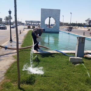 المبادرة الرئاسية لزراعة 100 مليون شجرة تتوسع في الإسكندرية.. تشجير الطرق والمدارس والمحاور الرئيسية ضمن المرحلة الرابعة 12 المبادرة الرئاسية لزراعة 100 مليون شجرة تتوسع في الإسكندرية.. تشجير الطرق والمدارس والمحاور الرئيسية ضمن المرحلة الرابعة