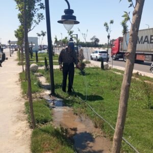 المبادرة الرئاسية لزراعة 100 مليون شجرة تتوسع في الإسكندرية.. تشجير الطرق والمدارس والمحاور الرئيسية ضمن المرحلة الرابعة 13 المبادرة الرئاسية لزراعة 100 مليون شجرة تتوسع في الإسكندرية.. تشجير الطرق والمدارس والمحاور الرئيسية ضمن المرحلة الرابعة