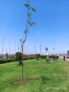 المبادرة الرئاسية لزراعة 100 مليون شجرة تتوسع في الإسكندرية.. تشجير الطرق والمدارس والمحاور الرئيسية ضمن المرحلة الرابعة 17 المبادرة الرئاسية لزراعة 100 مليون شجرة تتوسع في الإسكندرية.. تشجير الطرق والمدارس والمحاور الرئيسية ضمن المرحلة الرابعة