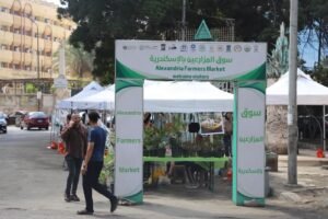 أسواق اليوم الواحد بالإسكندرية تواصل التوسع لتوفير السلع بأسعار مخفضة.. والمحافظة تكثف المتابعة بجميع الأحياء 2 أسواق اليوم الواحد بالإسكندرية تواصل التوسع لتوفير السلع بأسعار مخفضة.. والمحافظة تكثف المتابعة بجميع الأحياء