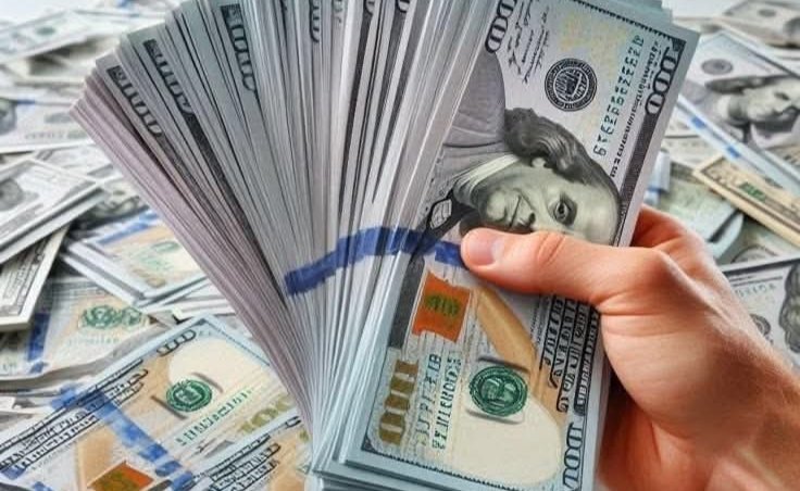 سعر الدولار اليوم في مصر 7 يوليو 2026.. استقرار العملة الأمريكية يعزز مكاسب الجنيه بالبنوك