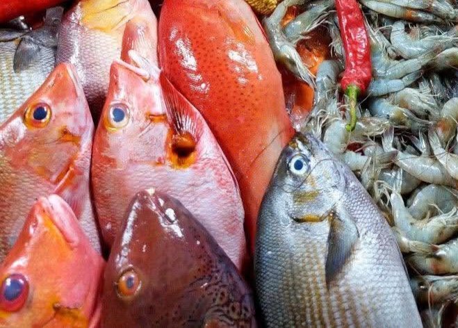 أسعار الأسماك اليوم في الأسواق.. البلطي يقفز 7 جنيهات والجمبري يتراجع بقوة في تعاملات السبت