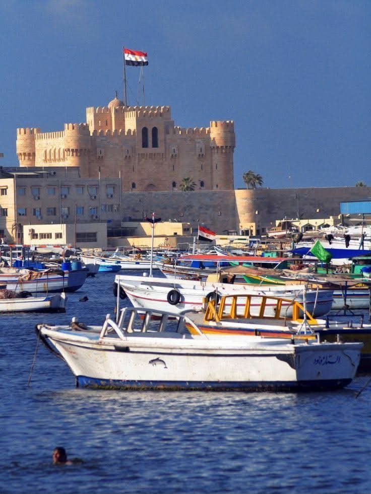 منصة حافز للدعم المالي والفني للقطاع الخاص.. محافظة الإسكندرية تدعو الشركات للمشاركة في الجلسة التعريفية الرابعة