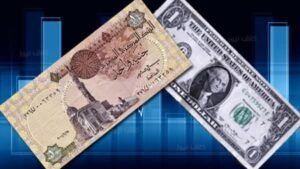 المالية: خروج 11 مليار دولار من الأموال الساخنة في مصر خلال مارس وتراجع استثمارات الأجانب بأذون الخزانة
