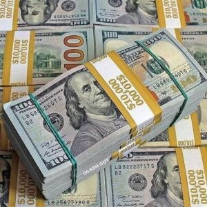سعر الدولار اليوم الأحد 30 أغسطس 2026 أمام الجنيه.. استقرار دون 51 جنيهًا في البنوك