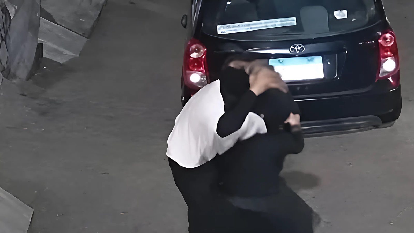 مشاجرة طوخ.. زوجة تتدخل للدفاع عن زوجها وتسقط أحد المشاركين بحركة لافتة