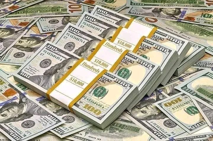سعر الدولار في مصر يتجاوز 51 جنيهًا.. 3 سيناريوهات من مورغان ستانلي لتحركات العملة الأميركية
