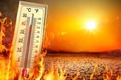 أسعار الذهب اليوم 23 أغسطس 2026.. عيار 21 عند 6595 جنيهًا والدولار بـ50.75 جنيه
