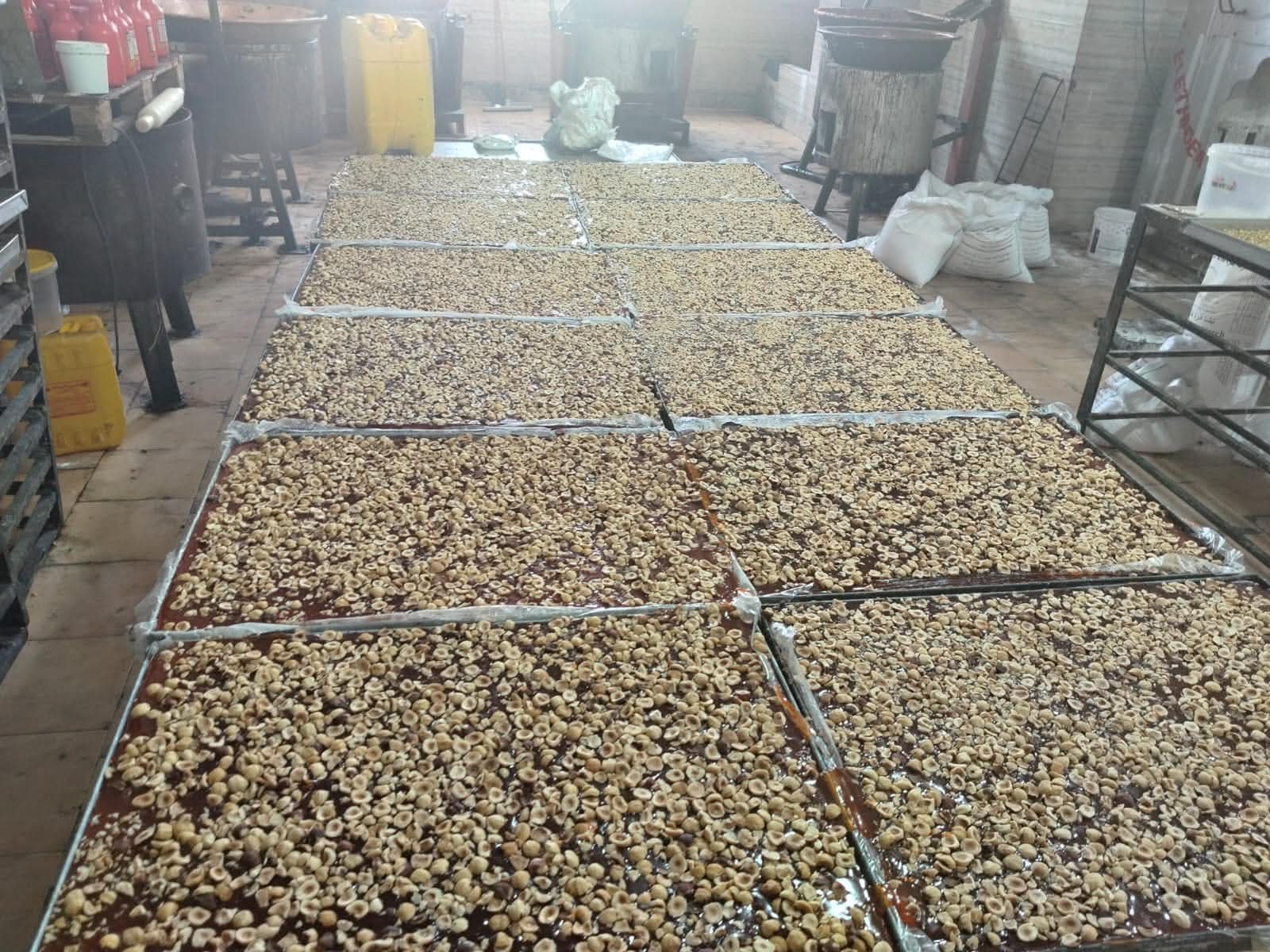 ضبط 30 طنًا و444 كجم من حلاوة المولد مجهولة المصدر وغير صالحة في الإسكندرية