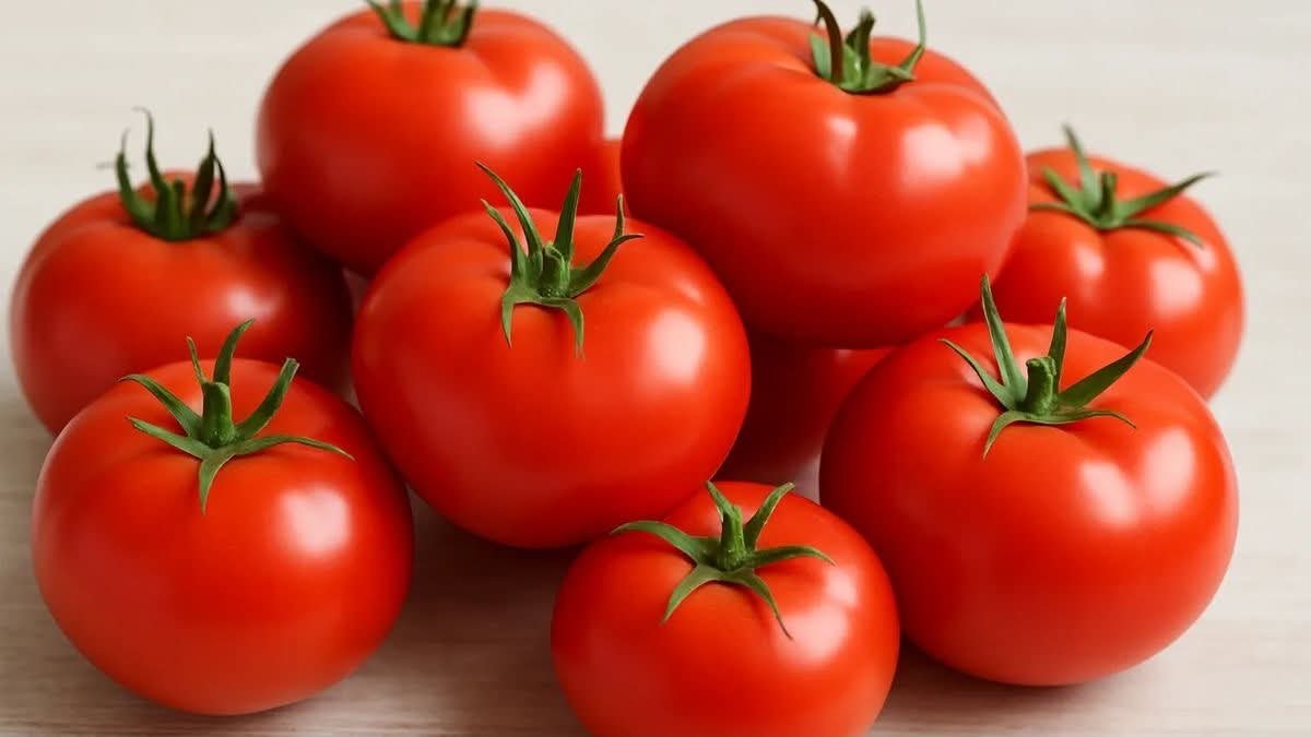 أسعار الطماطم تتجه لـ40 جنيهًا.. تحذير من موجة ارتفاع جديدة بالأسواق
