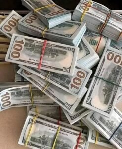 سعر الدولار اليوم السبت 22 أغسطس 2026.. استقرار العملة الأمريكية وأعلى وأقل سعر في البنوك