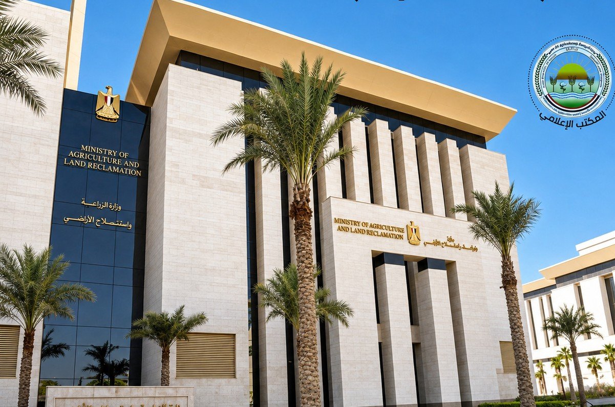 وزارة الزراعة تضبط 226 طنًا من اللحوم المخالفة خلال يوليو وتحرر 761 محضرًا بالمحافظات 3 وزارة الزراعة تضبط 226 طنًا من اللحوم المخالفة خلال يوليو وتحرر 761 محضرًا بالمحافظات