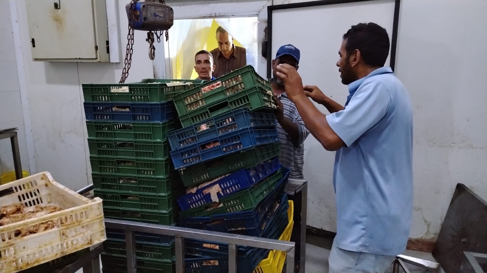 ضبط 1.450 طن لحوم ودواجن وتوابل غير صالحة للاستهلاك داخل منشأة مخالفة بالجمرك