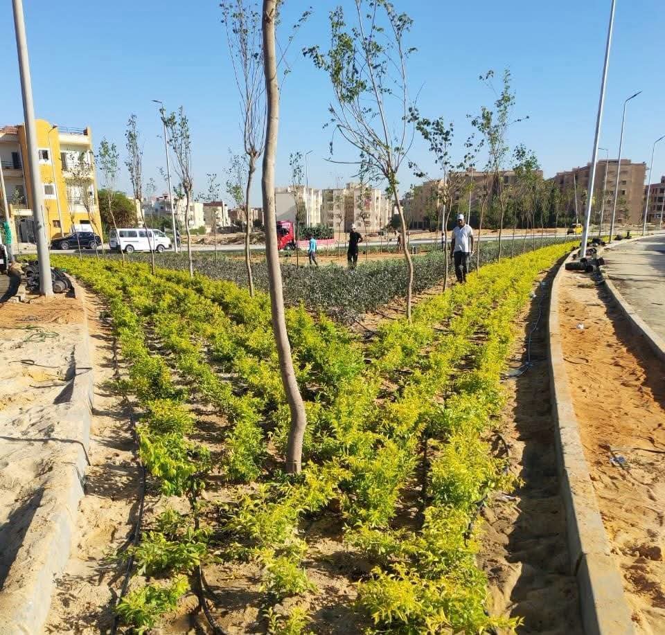 مشروعات مدينة بدر.. وزيرة الإسكان تتابع تنفيذ الإسكان الأخضر وديارنا وتطوير الطرق والخدمات