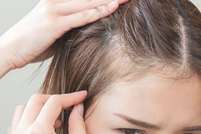 العناية بالشعر في الخريف.. لماذا يحتاج شعرك إلى روتين