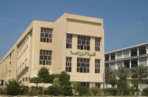 الزراعة: قريبًا إتمام إجراءات التعاقد مع 4700 طبيب بيطري اجتازوا الاختبارات
