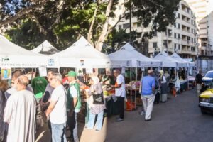 سوق اليوم الواحد للمزارعين في الإسكندرية.. محافظ الإسكندرية يتفقد فعاليات زيزينيا لدعم المنتج والمستهلك