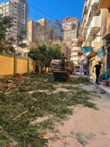 حبس 3 متهمين في واقعة مذبحة الأشجار بالمحلة 4 أيام على ذمة التحقيقات