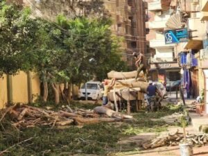 حبس 3 متهمين في واقعة مذبحة الأشجار بالمحلة 4 أيام على ذمة التحقيقات