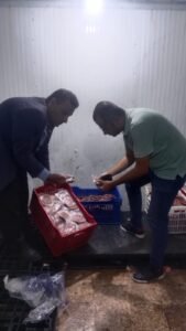 ضبط 370 كجم من مصنعات اللحوم مجهولة المصدر داخل مخزن مخالف بالحضرة الجديدة في الإسكندرية