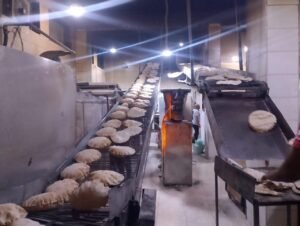 حملات تموينية في المنوفية تحرر 775 مخالفة خلال أسبوع وتضبط 25 شيكارة دقيق مدعم قبل بيعها بالسوق السوداء