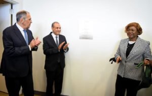 تفاصيل رحيل الدكتور محمود عزمي داخل قاعة مجلس الأمن