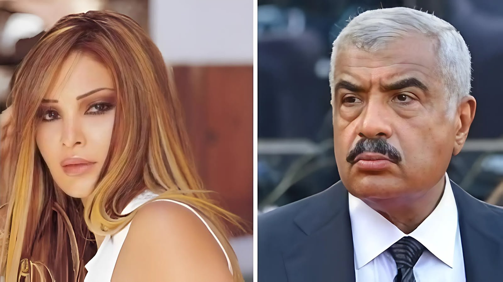 في مثل هذا اليوم 2010.. الحكم بالسجن 15 عامًا على هشام طلعت مصطفى في قضية سوزان تميم