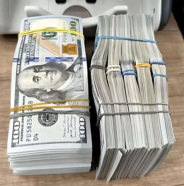 سعر الدولار في مصر اليوم يتجاوز 51.3 جنيه.. هل تقترب العملة الأميركية من مستويات قياسية جديدة؟